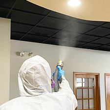 Anabec Disinfecting | The Basement Doctor | Mold Solutions