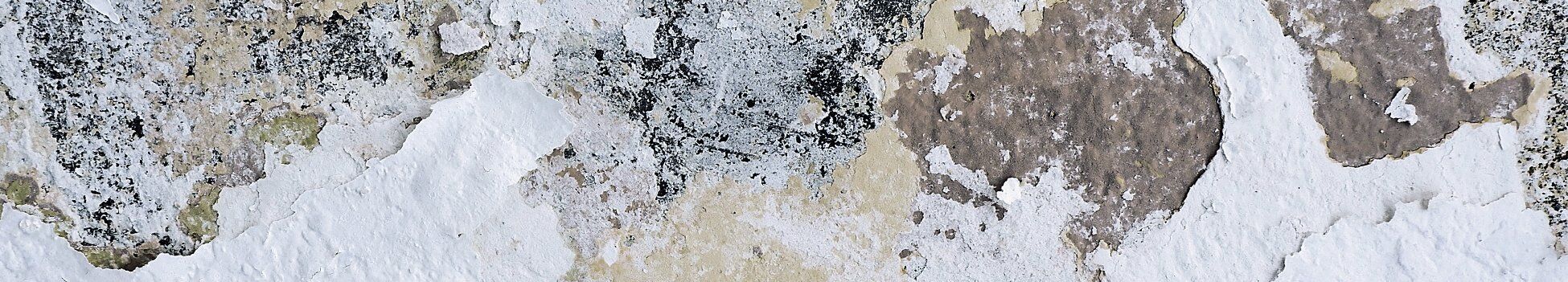 Water Damage on White Wall | Commercial Water Damage | The Basement Doctor Columbus