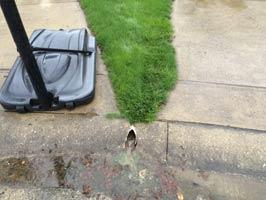 Leaky Wall and Blocked Downspout Line in Columbus, OH