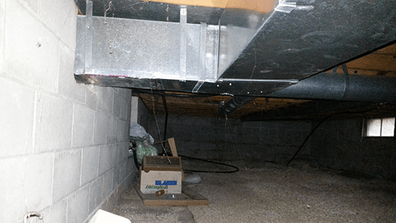 Damp Odors and Rodents in Crawl Space |Westerville, OH | Before