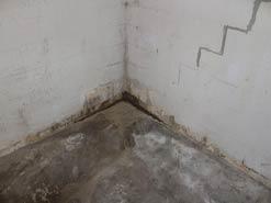 Basement Waterproofing & Structural Repair in Circleville, OH