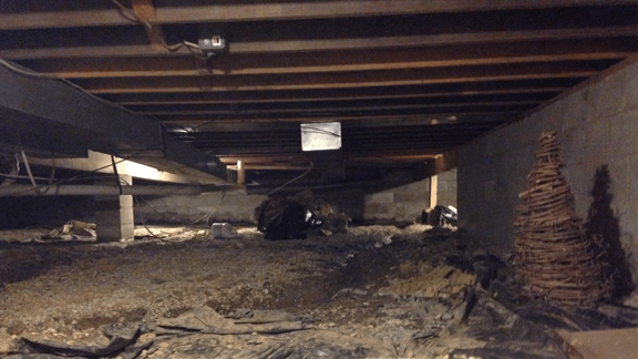 Wet and Musty Crawl Space | Pickerington, OH | Before