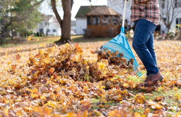 Fall-Patio