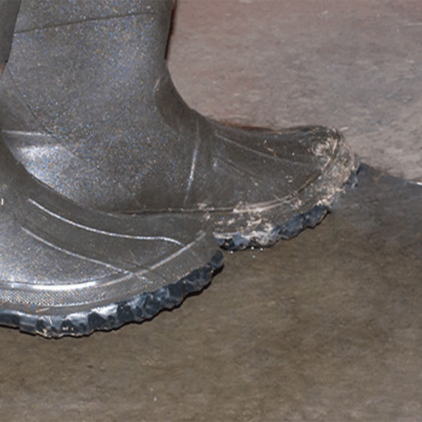 MBD_Basement Waterproofing_Wet Basement_1