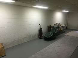 Ugly, Moldy Basement Walls | Columbus, OH | Before
