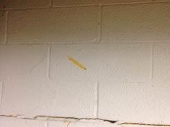 Force Beam, Basement Doctor Plus, and Downspout Installation | Worthington, OH | Before