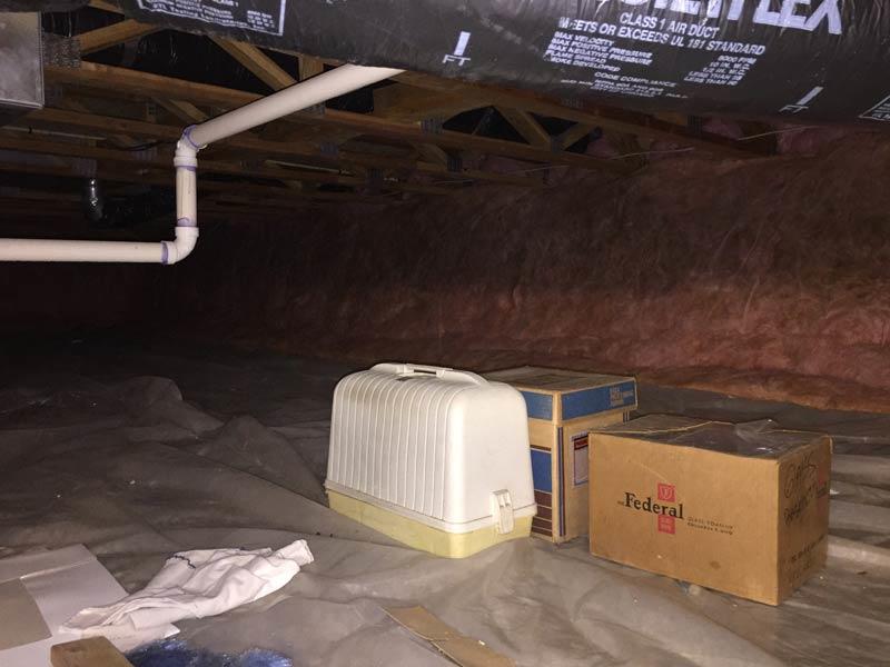 Crawl Space Encapsulation | Groveport, OH | Before