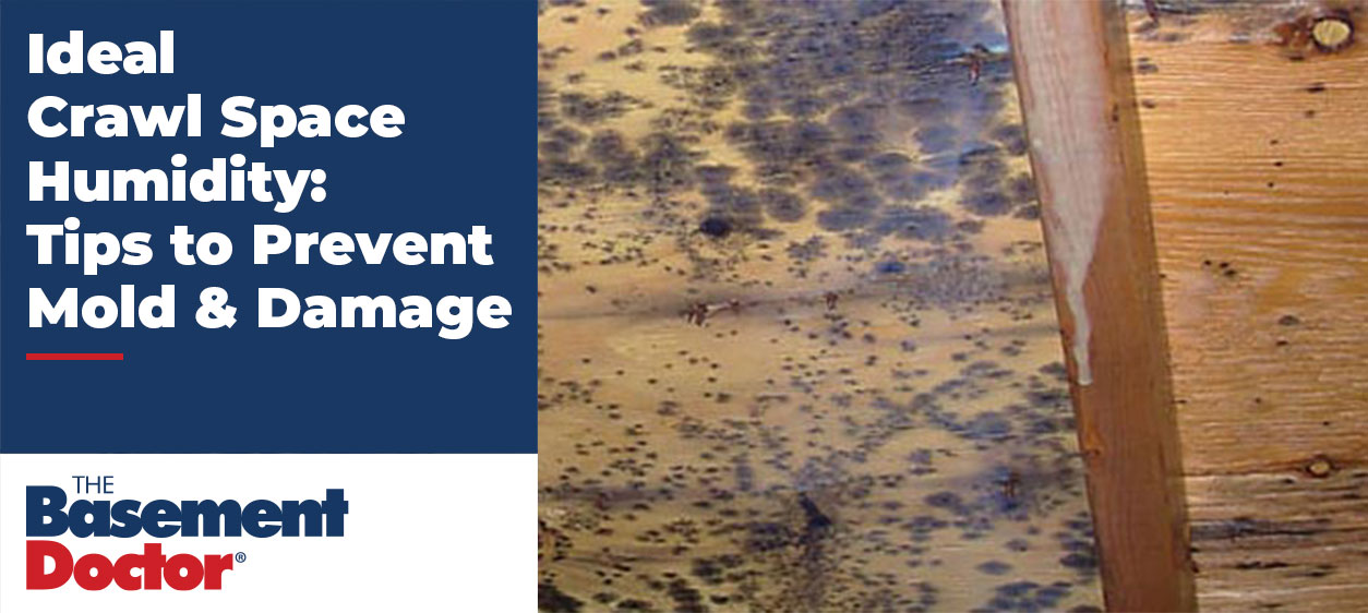 Wooden crawl space beams covered in dark mold growth, shown next to a graphic titled ‘Ideal Crawl Space Humidity: Tips to Prevent Mold & Damage.’
